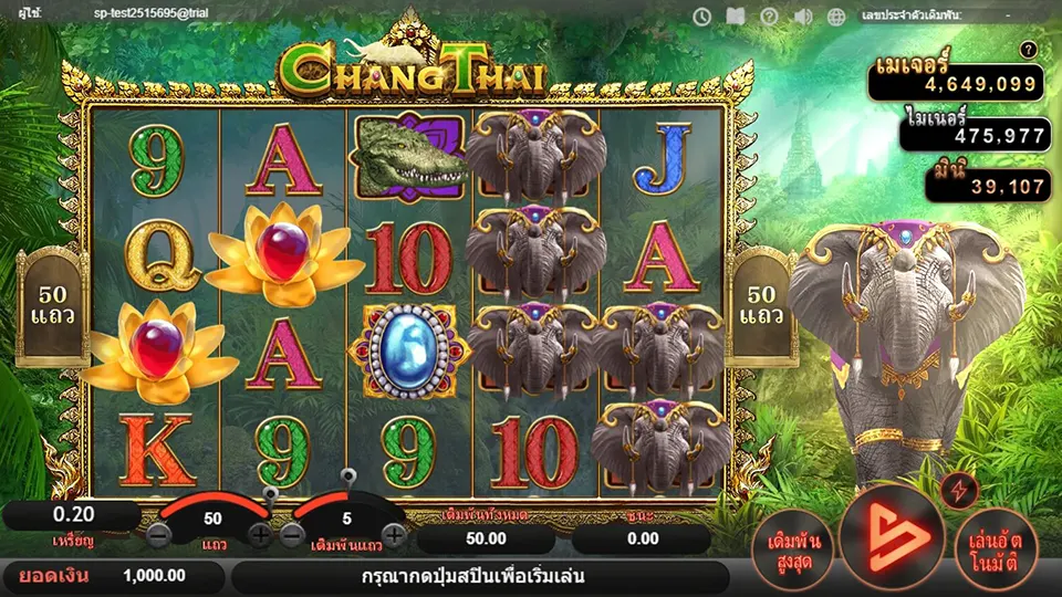 ช้างคาสิโน