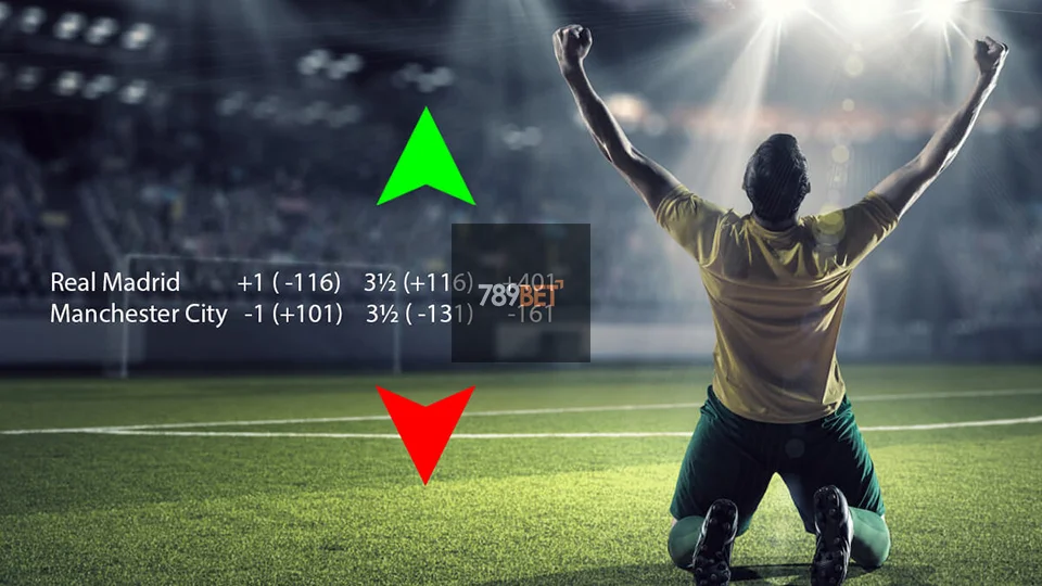 แทงบอล 789BET