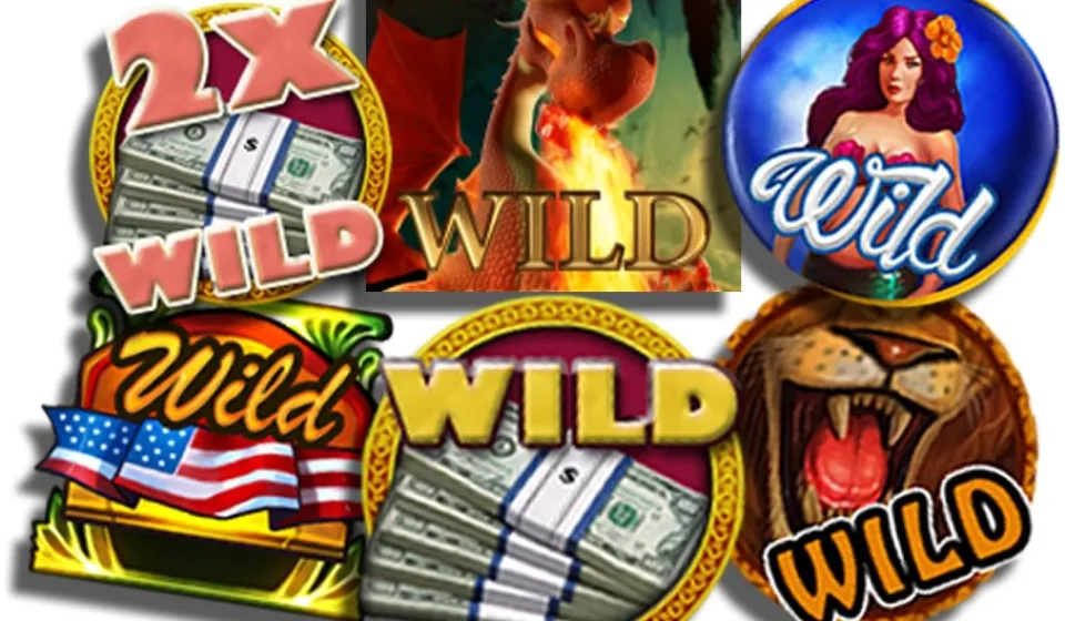 wild scatter สล็อต HappyLuke