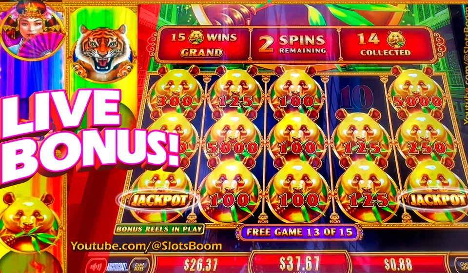 bonus game live casino house